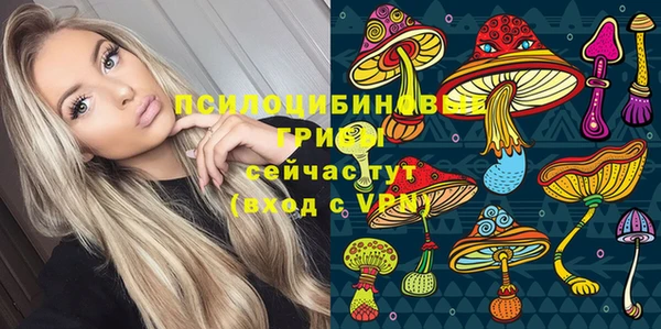 ГАЛЛЮЦИНОГЕННЫЕ ГРИБЫ Каменка