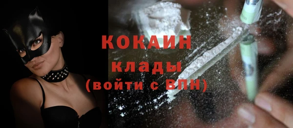 ГАЛЛЮЦИНОГЕННЫЕ ГРИБЫ Каменка