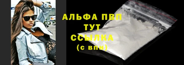 ГАЛЛЮЦИНОГЕННЫЕ ГРИБЫ Каменка