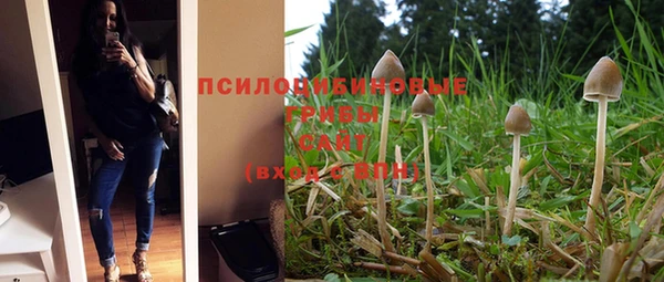 ГАЛЛЮЦИНОГЕННЫЕ ГРИБЫ Каменка