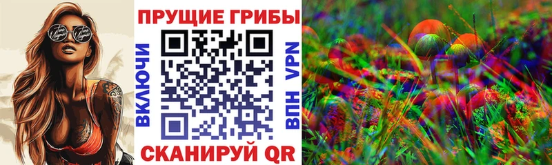 Псилоцибиновые грибы GOLDEN TEACHER  Купить  Белогорск 