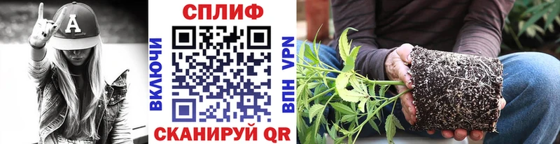 Купить закладки  Белогорск  Конопля THC 21% 